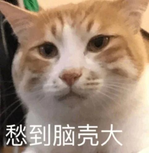 DƬ